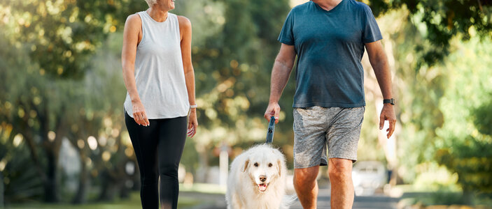 A retired couple walking their dog in the park.